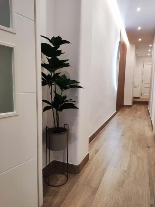 Apartamento Sierra-Sol Ронда Екстериор снимка